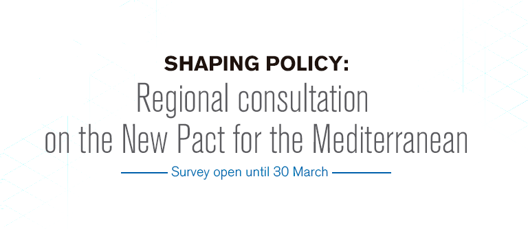 Have your say on the future of Euro-Mediterranean relations!